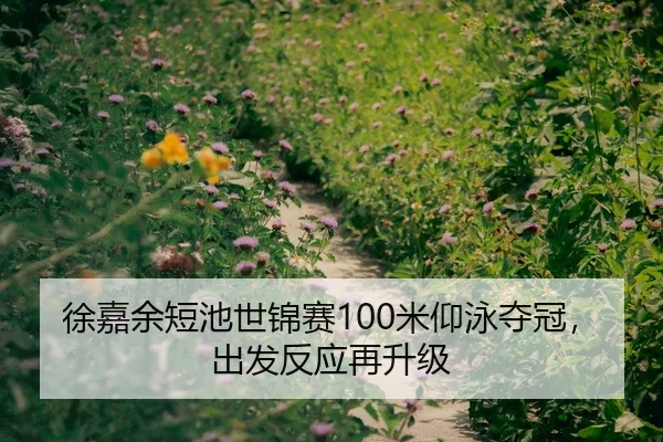 徐嘉余短池世锦赛100米仰泳夺冠，出发反应再升级
