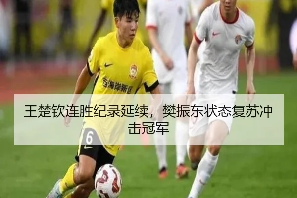 王楚钦连胜纪录延续，樊振东状态复苏冲击冠军